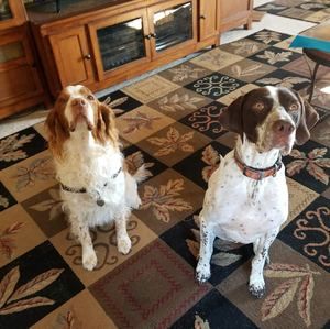 Meet your Posher, Renate